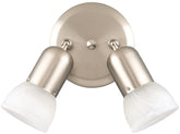 Canarm ICW9251 Track Lighting Fixture, 2-Lamp, Alabaster Glass, Brushed Pewter